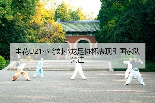申花U21小将刘小龙足协杯表现引国家队关注