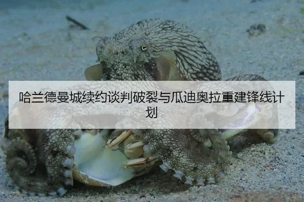 哈兰德曼城续约谈判破裂与瓜迪奥拉重建锋线计划