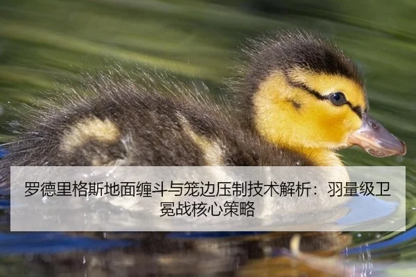 luo-de-li-ge-si-di-mian-chan-dou-yu-long-bian-ya-zhi-ji-shu-jie-xi-yu-liang-ji-wei-mian-zhan-he-xin-ce-lve-3-479.jpg